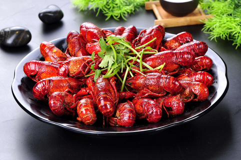 龙虾摄影图片免费下载_精品龙虾摄影图素材大全_熊猫办公