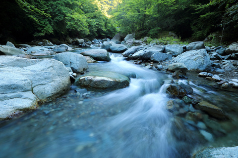 森林中的小溪流水高清摄影图片