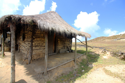 古老的房子红色