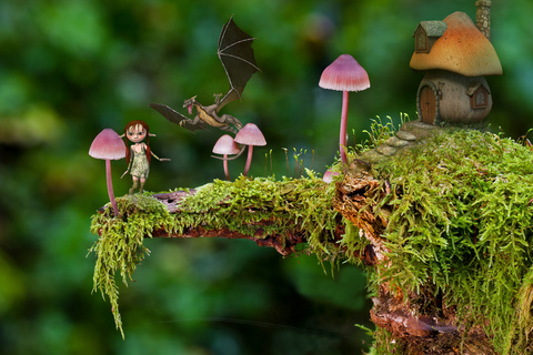 梦幻蘑菇屋另类图片