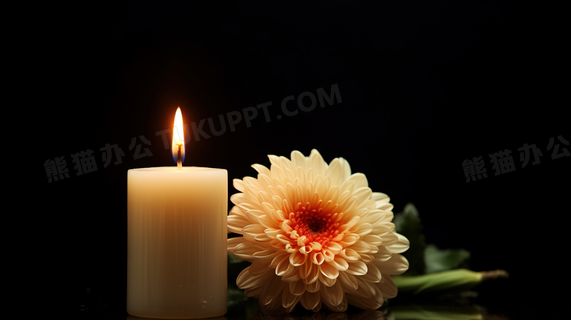 点燃的白色蜡烛和菊花图片