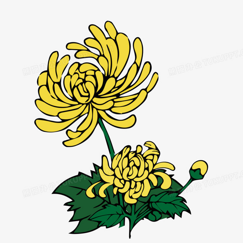 在整个配色上使用黄绿色作为基础色调,并创意设计了菊花,卡通效果的