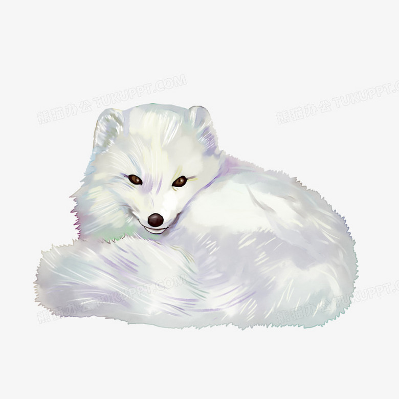 手绘写实水彩狐狸png图片素材下载 水彩png 熊猫办公