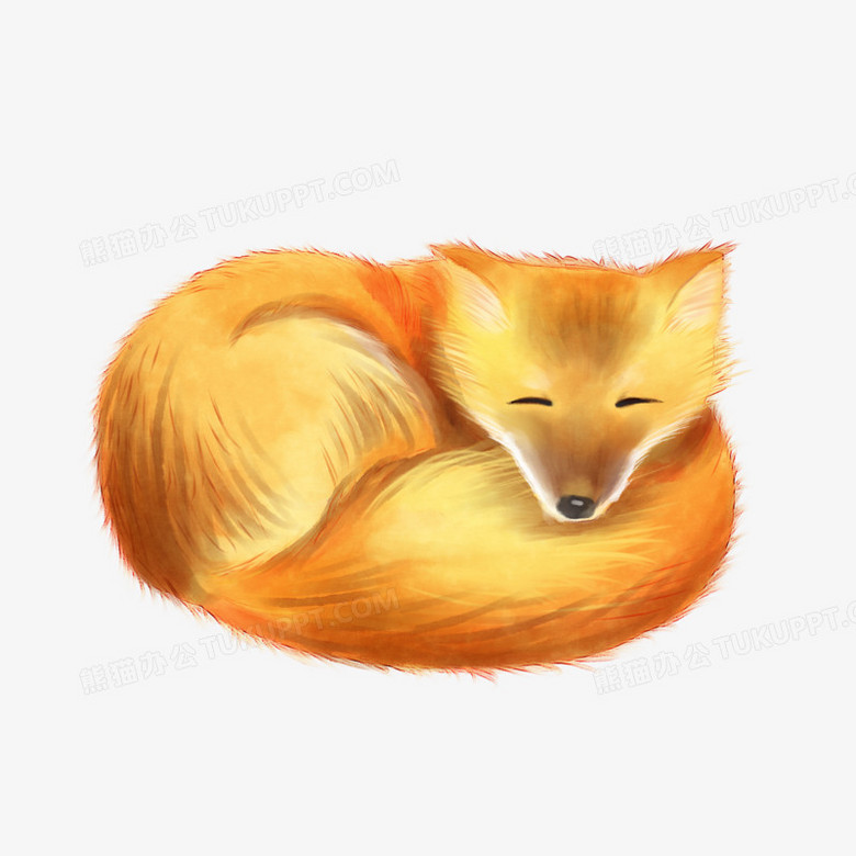 动物类可爱的火狐png图片素材下载 火狐png 熊猫办公