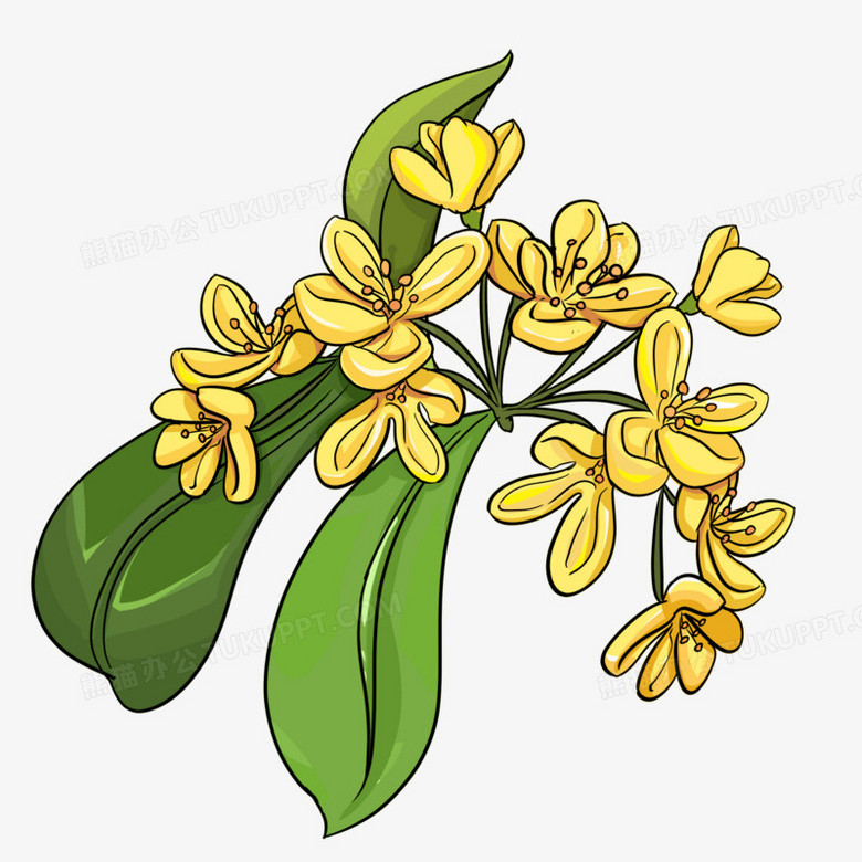 手绘植物卡通桂花花卉元素png图片素材免费下载 植物png 00 00像素 熊猫办公