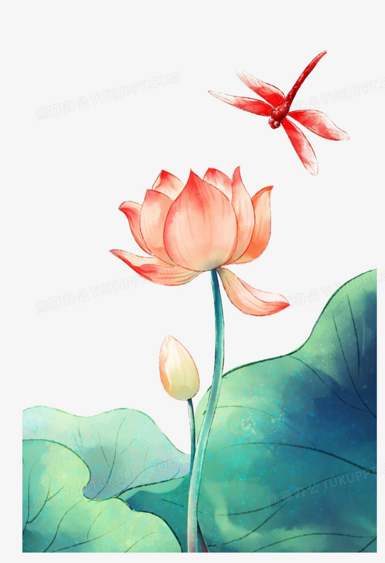 中国风水彩荷花蜻蜓免扣元素