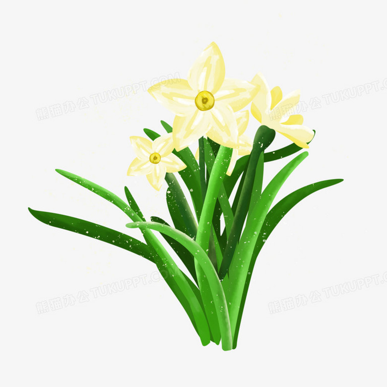 手绘中国风春天绿色植物水仙花png图片素材下载 春天png 熊猫办公