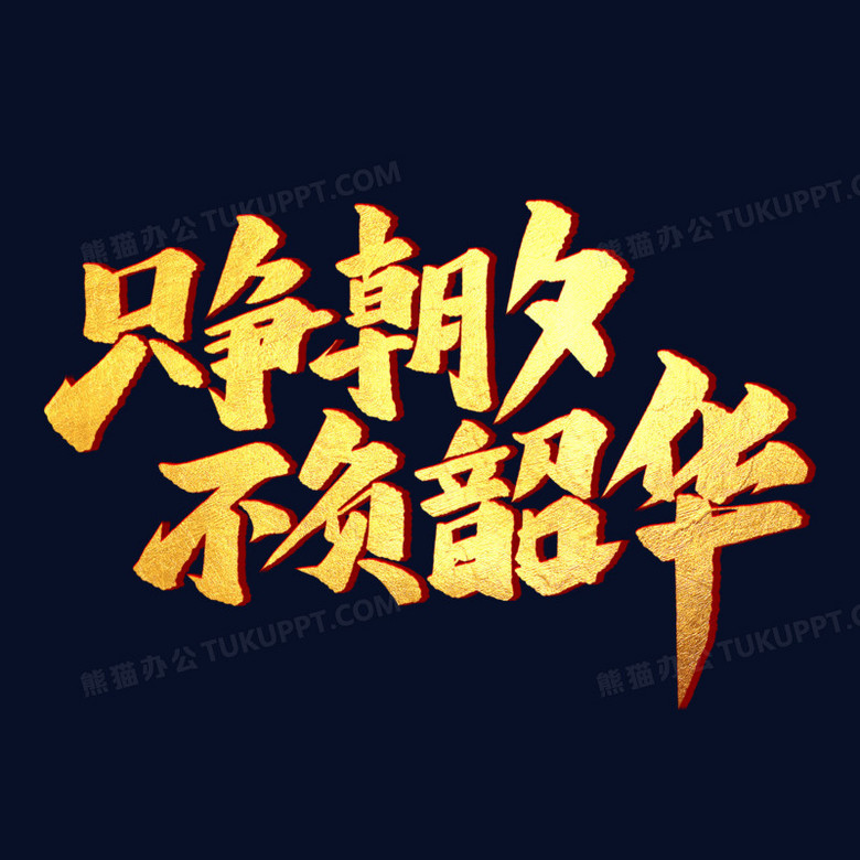 只争朝夕不负韶华艺术字