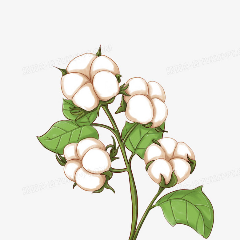 本作品全称为《卡通手绘白色棉花创意元素》,使用adobe photoshop cc