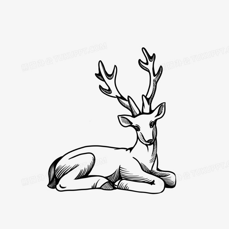 野生动物麋鹿手绘线条元素