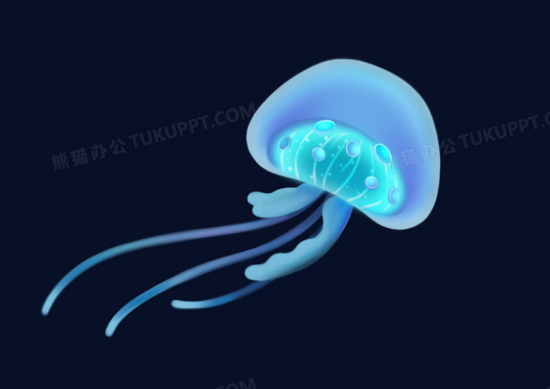 插画手绘深海生物水母元素png图片素材免费下载 插画png 3508 2480像素 熊猫办公