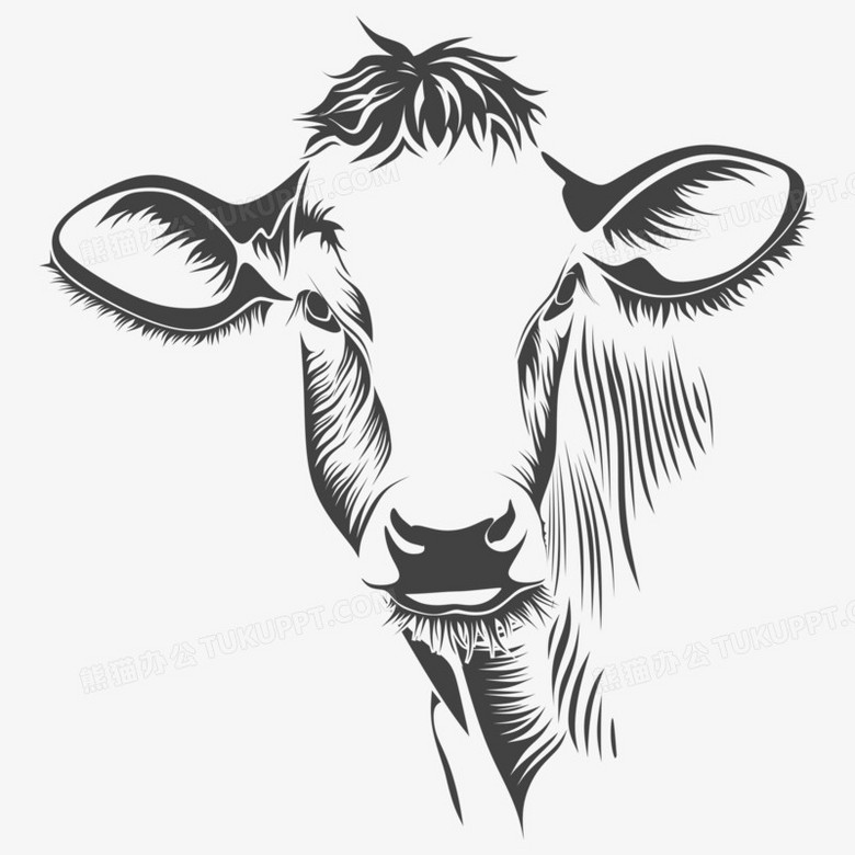 牛鼻子手绘图片