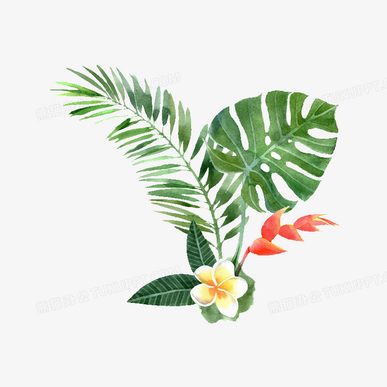手绘植物png图片素材下载 手绘植物png 熊猫办公 手绘植物png图片素材下载 手绘植物png 熊猫办公
