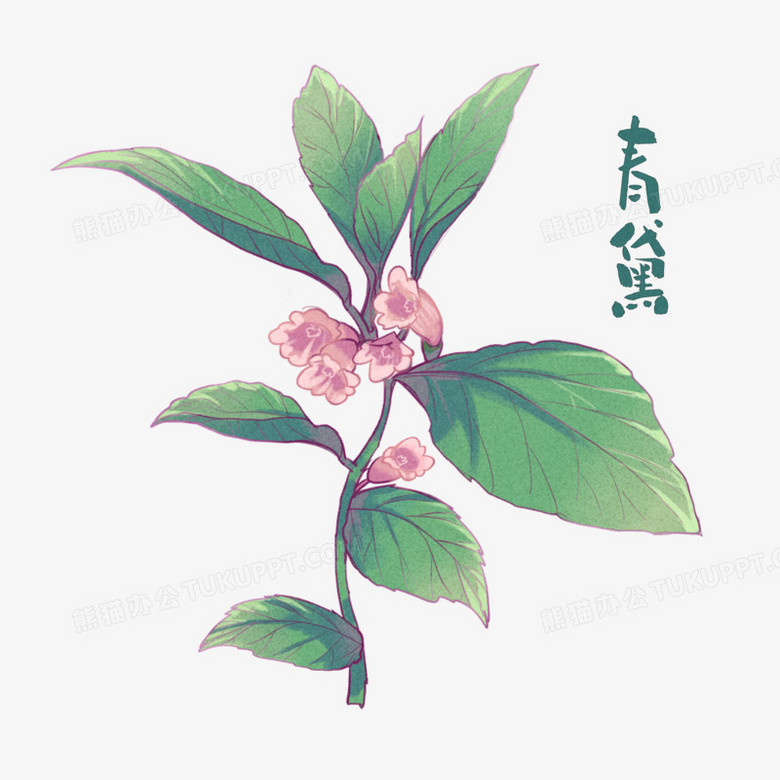 本作品全称为《卡通风中医药材青黛植物元素》,使用 adobe photoshop