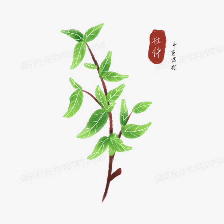本作品全称为《卡通手绘中医药材杜仲植物元素》,使用 adobe