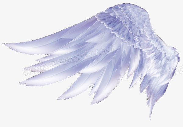 在整个配色上使用浅蓝色作为基础色调,设计了一只精美的翅膀,简约