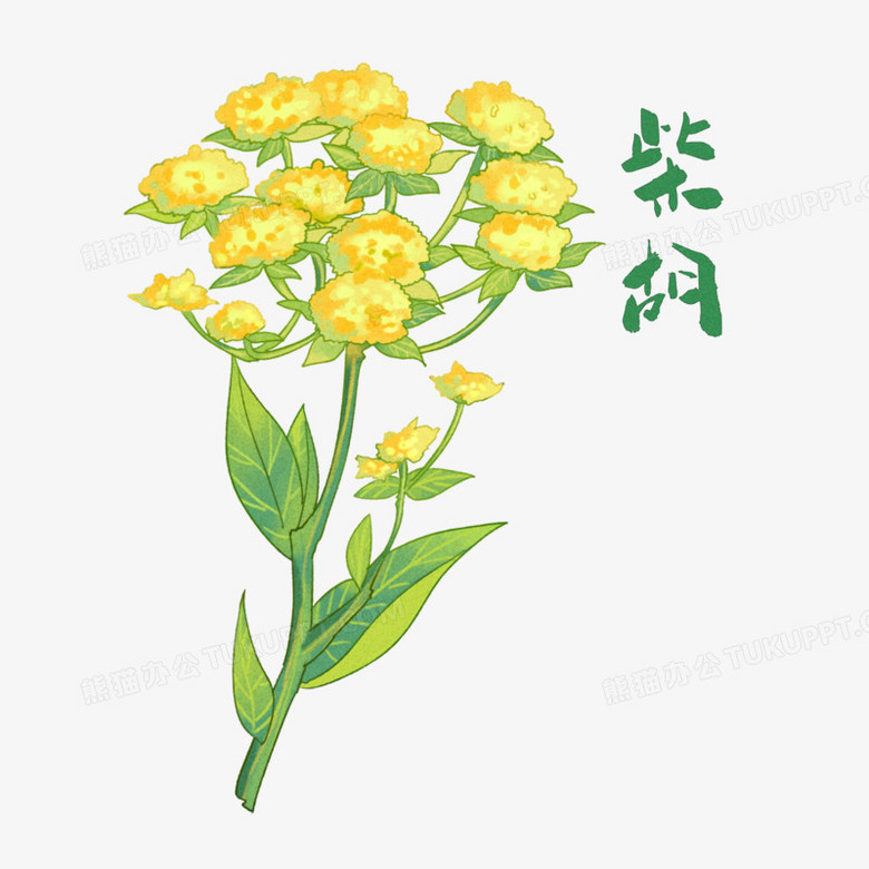 本作品全称为《黄色卡通手绘中草药植物柴胡元素》,使用 adobe