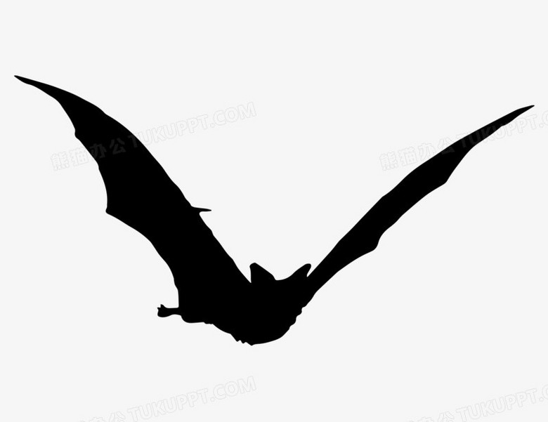 黑色蝙蝠剪影元素PNG图片素材下载_剪影PNG_熊猫办公