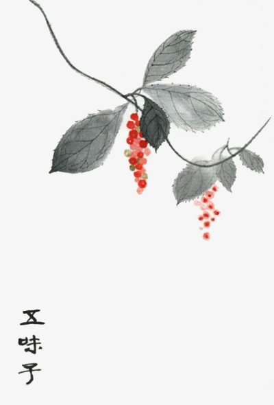 手绘中医中药素材