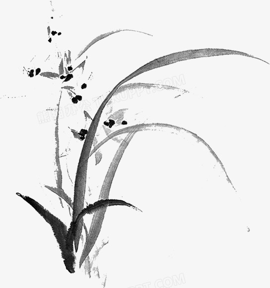 本作品全称为《黑色中国风精美水墨花草创意元素》,在整个配色上使用