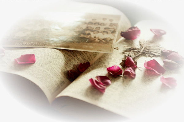 单反拍摄花瓣和书本png图片素材下载_花瓣png_熊猫办公