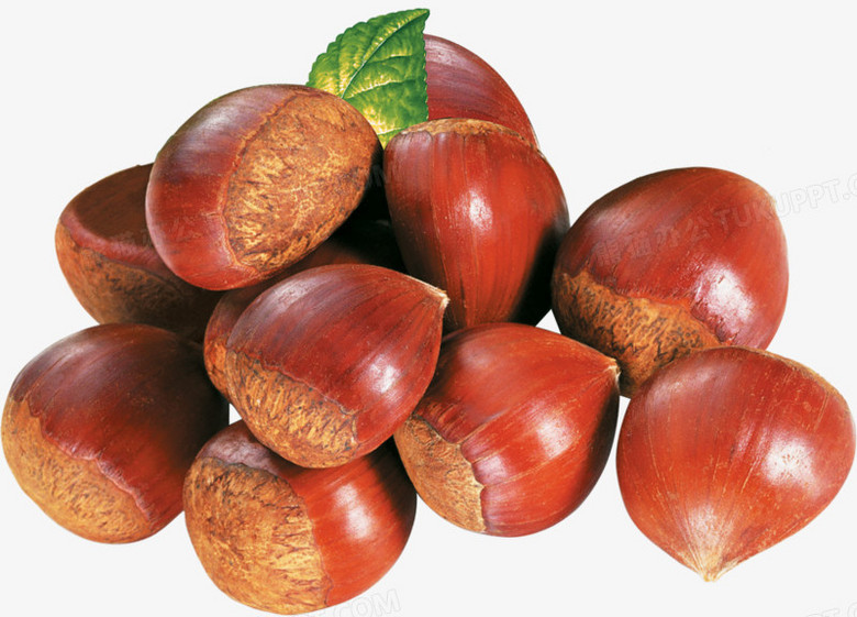 肾虚怎么补 肾虚怎么补