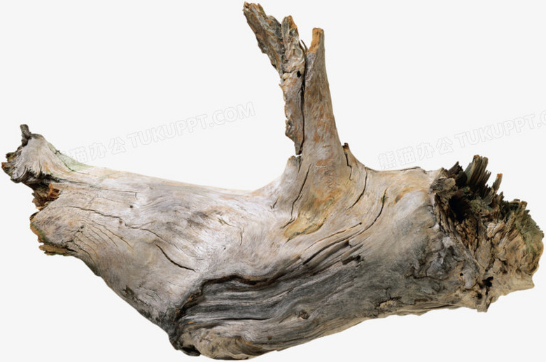 枯木png图片素材下载 枯木png 熊猫办公