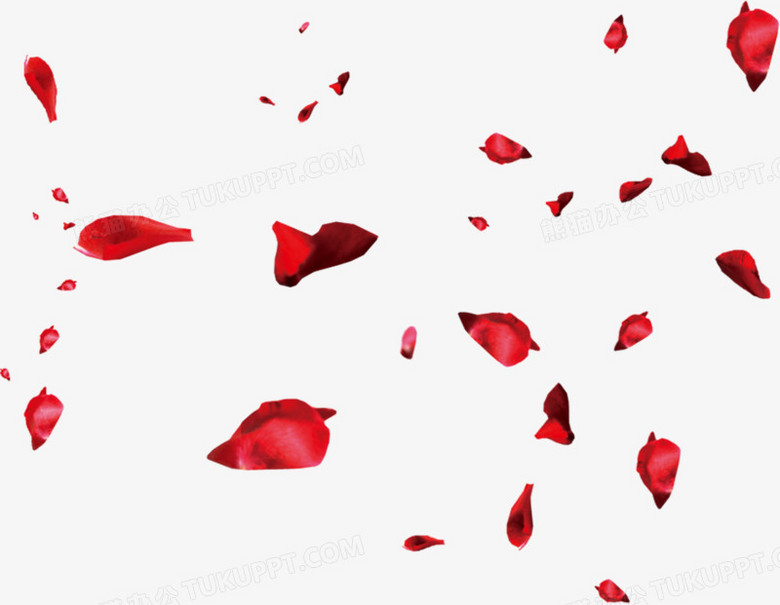 七夕玫瑰花瓣png图片素材下载 玫瑰png 熊猫办公