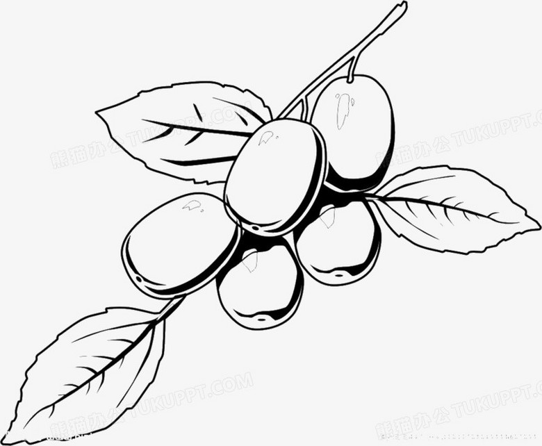 枣png图片素材下载_素描png_熊猫办公