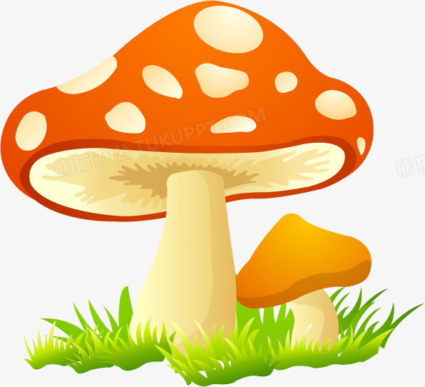 可爱蘑菇png图片素材下载_蘑菇png_熊猫办公