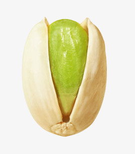 一颗饱满的开心果