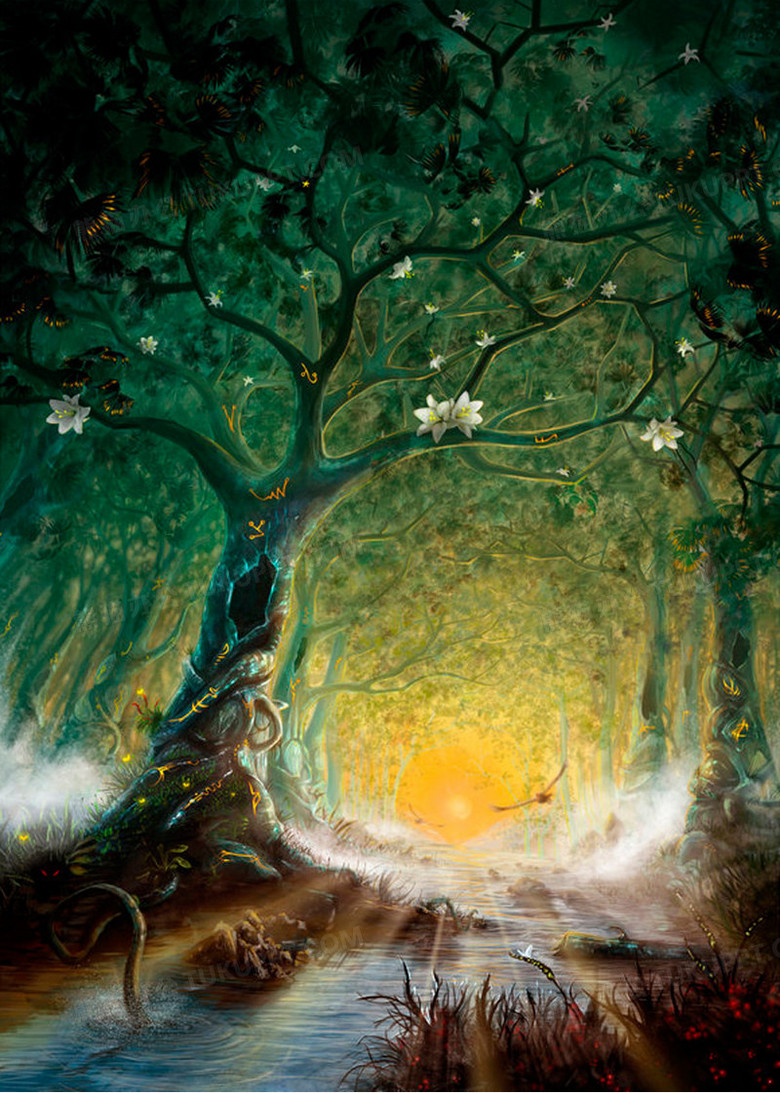 大树树洞高清壁纸