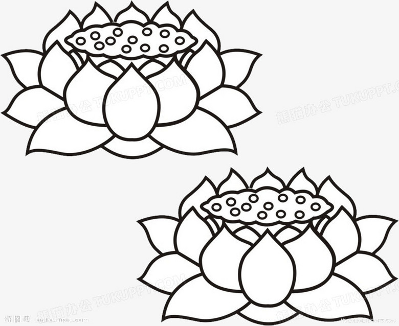 简笔画黑色莲花