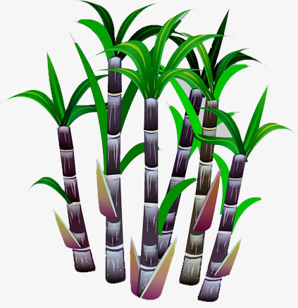 设计了几根粗壮高大的甘蔗,卡通效果的展现形式更好的突出清甜甘蔗的