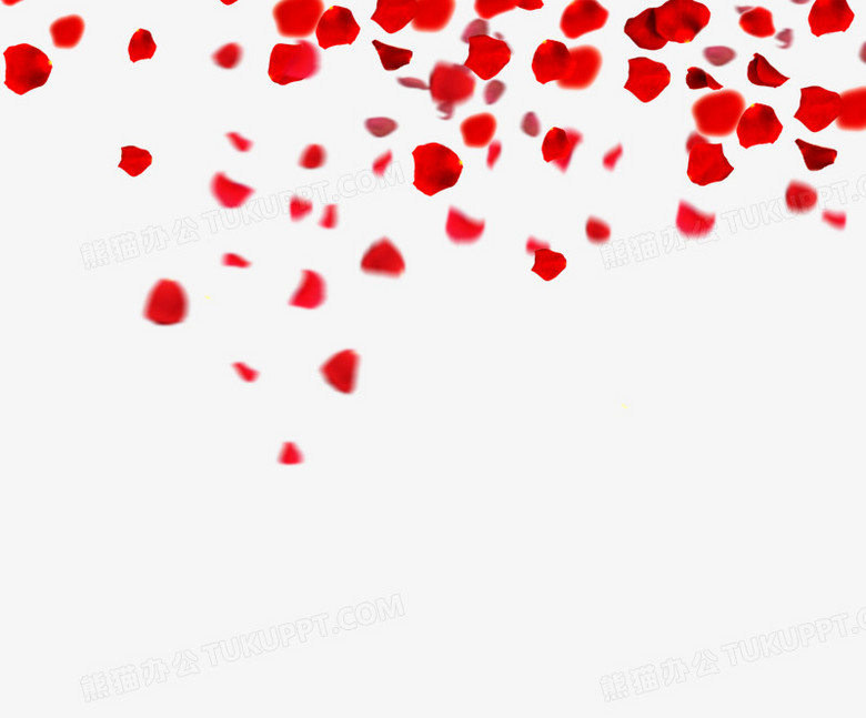 飞舞の玫瑰花瓣png图片素材下载 花瓣png 熊猫办公