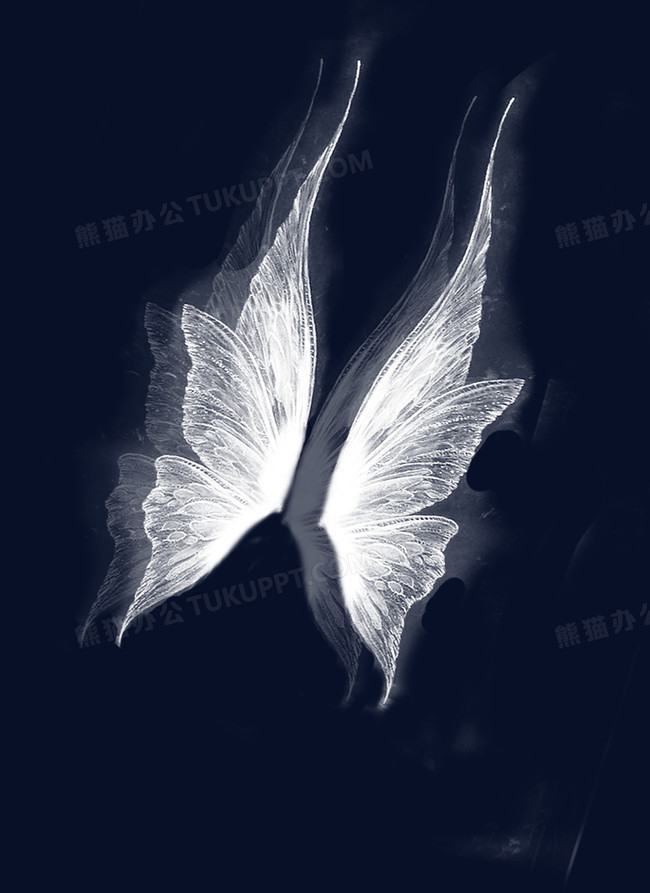 白色蝴蝶png图片素材下载_白色png_熊猫办公