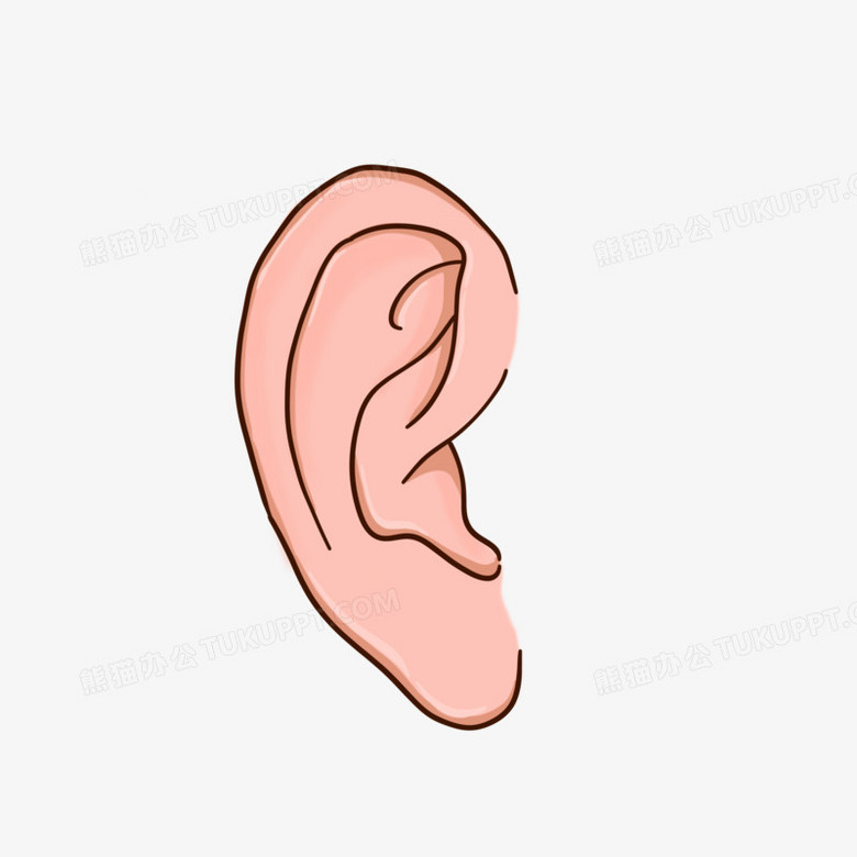 耳朵的作用图片卡通图片