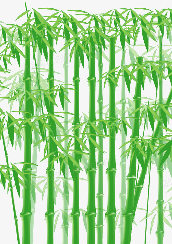一款错落有致的青翠竹林矢量素材