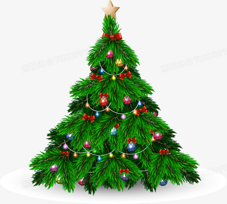 圣诞树是什么树(圣诞树是什么树种?)