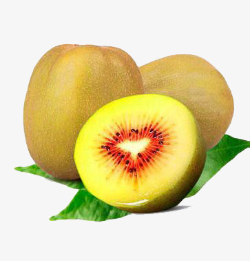 两个半水果红心猕猴桃png图片素材下载_水果png_熊猫办公