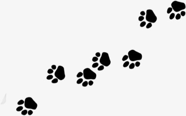 脚印png图片素材下载_脚印png_熊猫办公