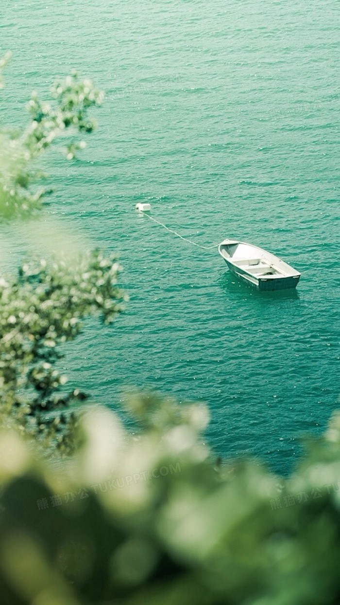 本作品内容为冷色调大海白色小船风景