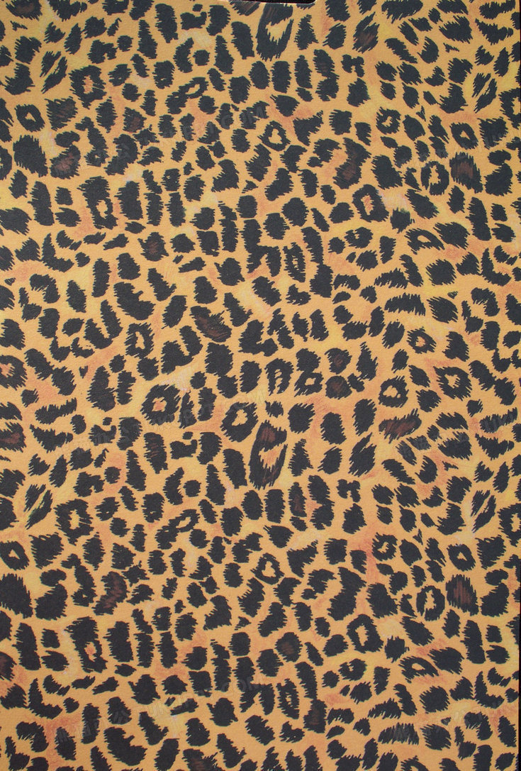 性感的豹纹底图背景