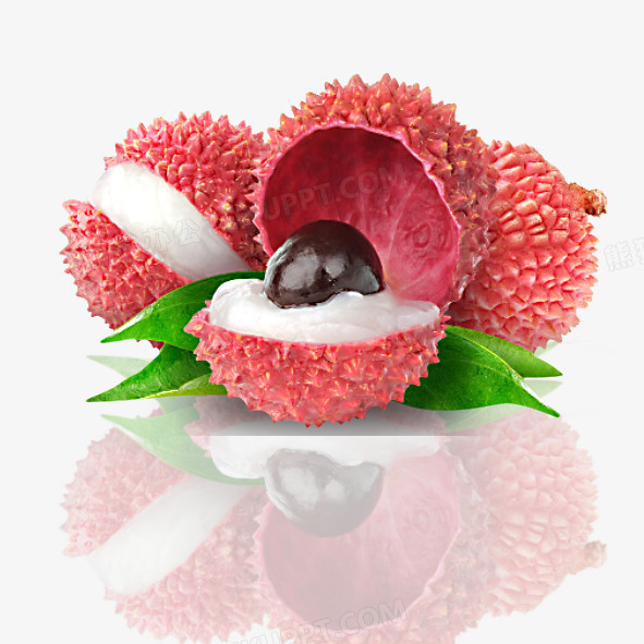 荔枝png图片素材下载_荔枝png_熊猫办公