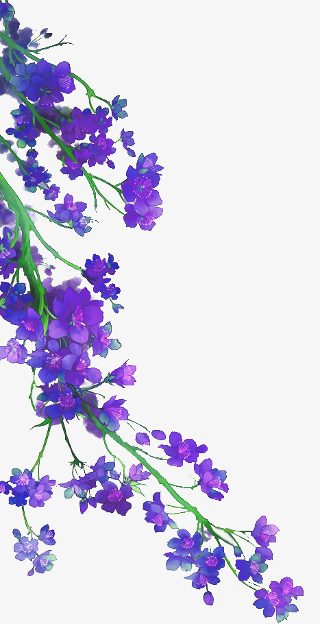 紫花png图片素材免费下载 紫花png 467 910像素 熊猫办公 紫花png图片素材免费下载 紫花png 467 910像素 熊猫办公