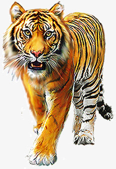 威武霸气大老虎