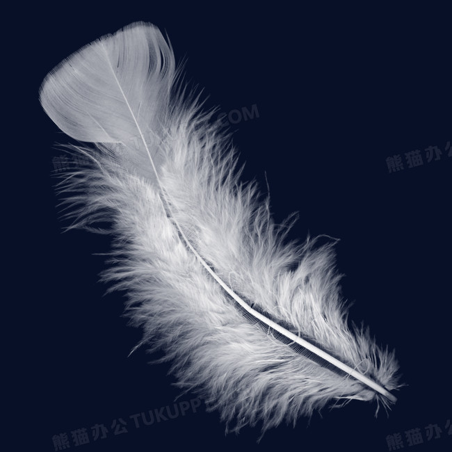 白色羽毛装饰png图片素材下载_羽毛png_熊猫办公