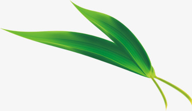 绿色卡通竹叶端午