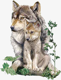 狼母子png图片素材下载_母子png_熊猫办公