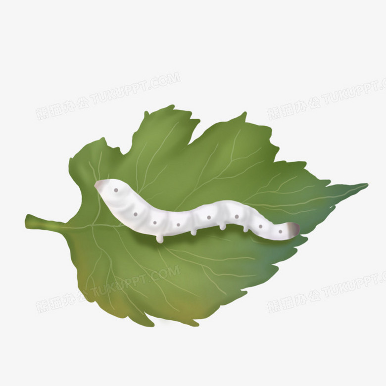 手绘卡通叶子蚕虫元素png图片素材下载 卡通png 熊猫办公